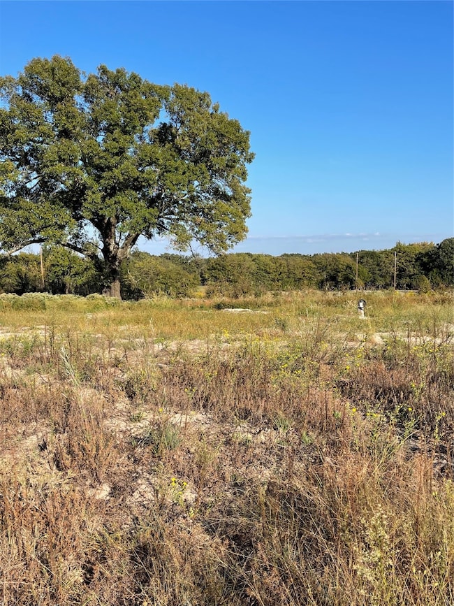 935 Vz County Road 3201, Wills Point, TX 75169 - photo 7