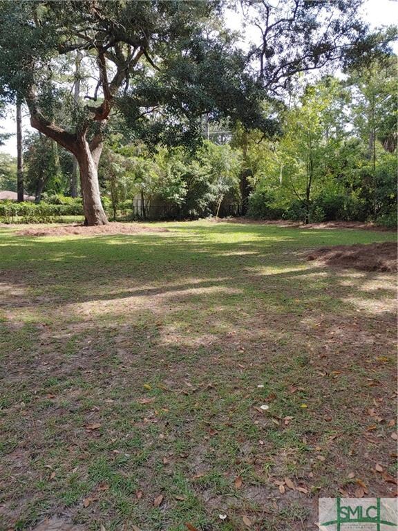 Large back yard