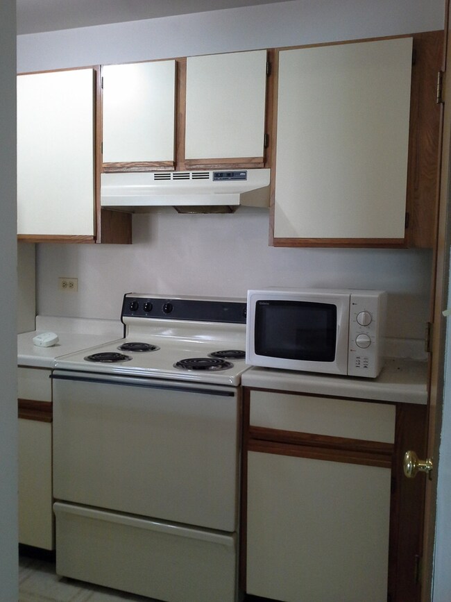 4408 W Shamrock Ln unit 1D, McHenry, IL 60050 - photo 3