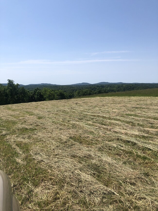 60C Walleye Rd, Hilham, TN 38551 - photo 5