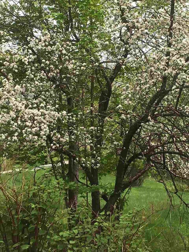 0 Cotton Mountain Rd unit Lot 2, Wolfeboro, NH 03894 - photo 7