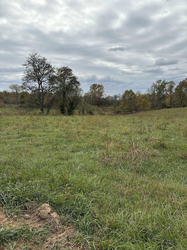 Pine Grove Ch Rd, Vanceburg, KY 41179 - photo 4
