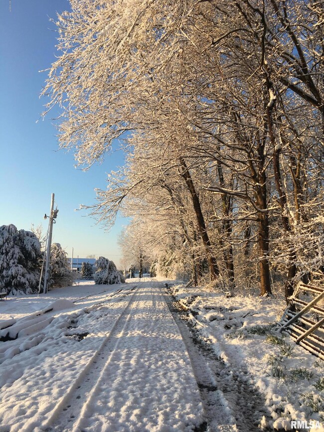 1705 S Walnut Grove Rd, New Burnside, IL 62967 - photo 2