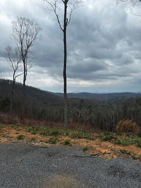 Lot 173 Shagbark Ct, Ellijay, GA 30541 - photo 4