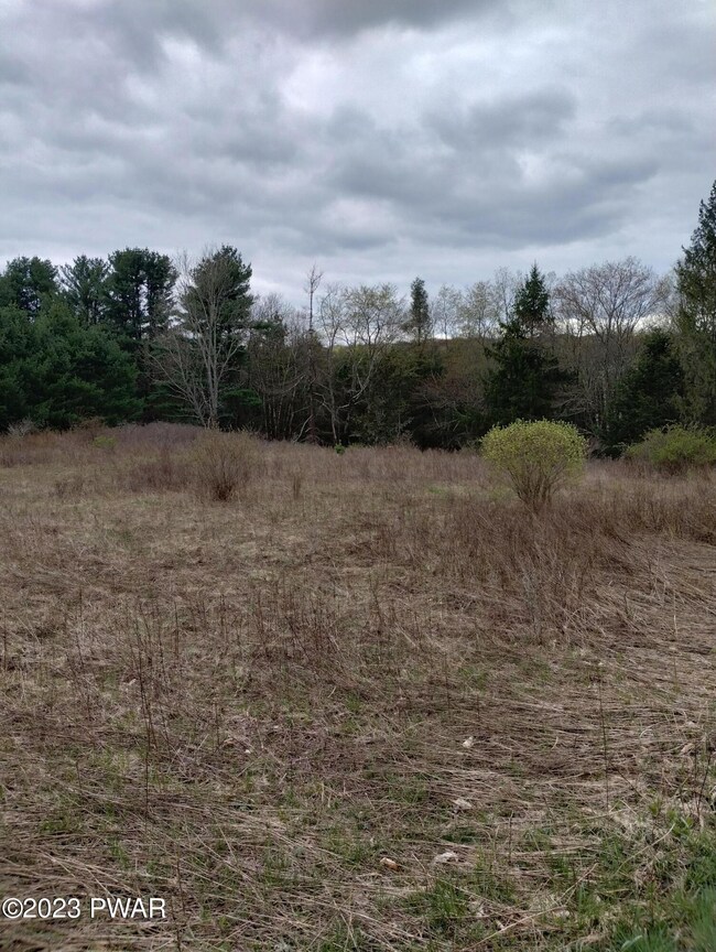 Lot 4 Ledgedale Rd, Lake Ariel, PA 18436 - photo 3