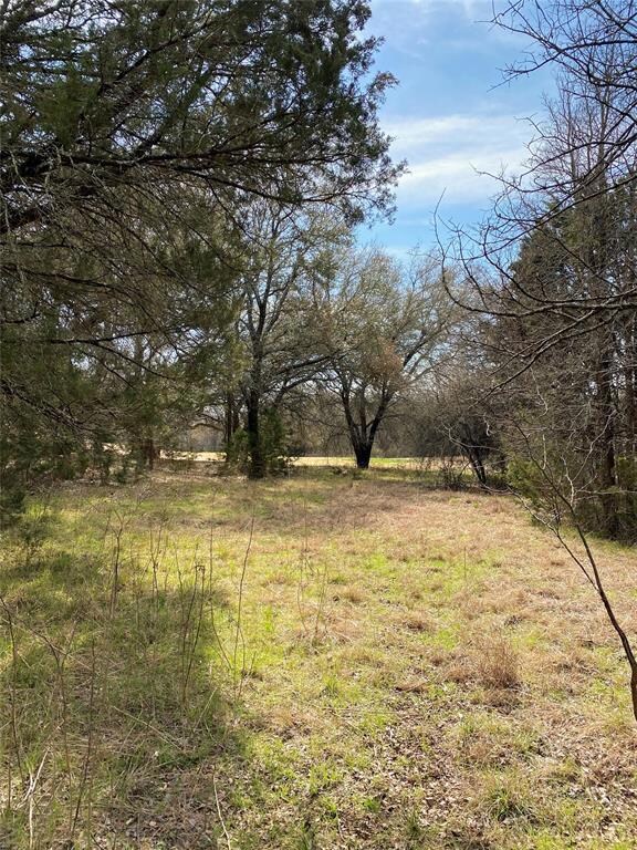 26012 Woodacre Rd, Whitney, TX 76692 - photo 2