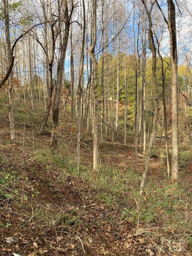 1638 Continental Divide Dr unit 2, Flat Rock, NC 28731 - photo 6