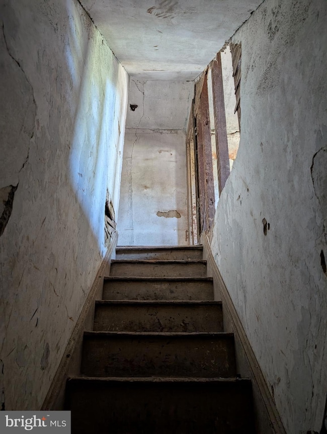 4932 Wakefield St, Philadelphia, PA 19144 - photo 5