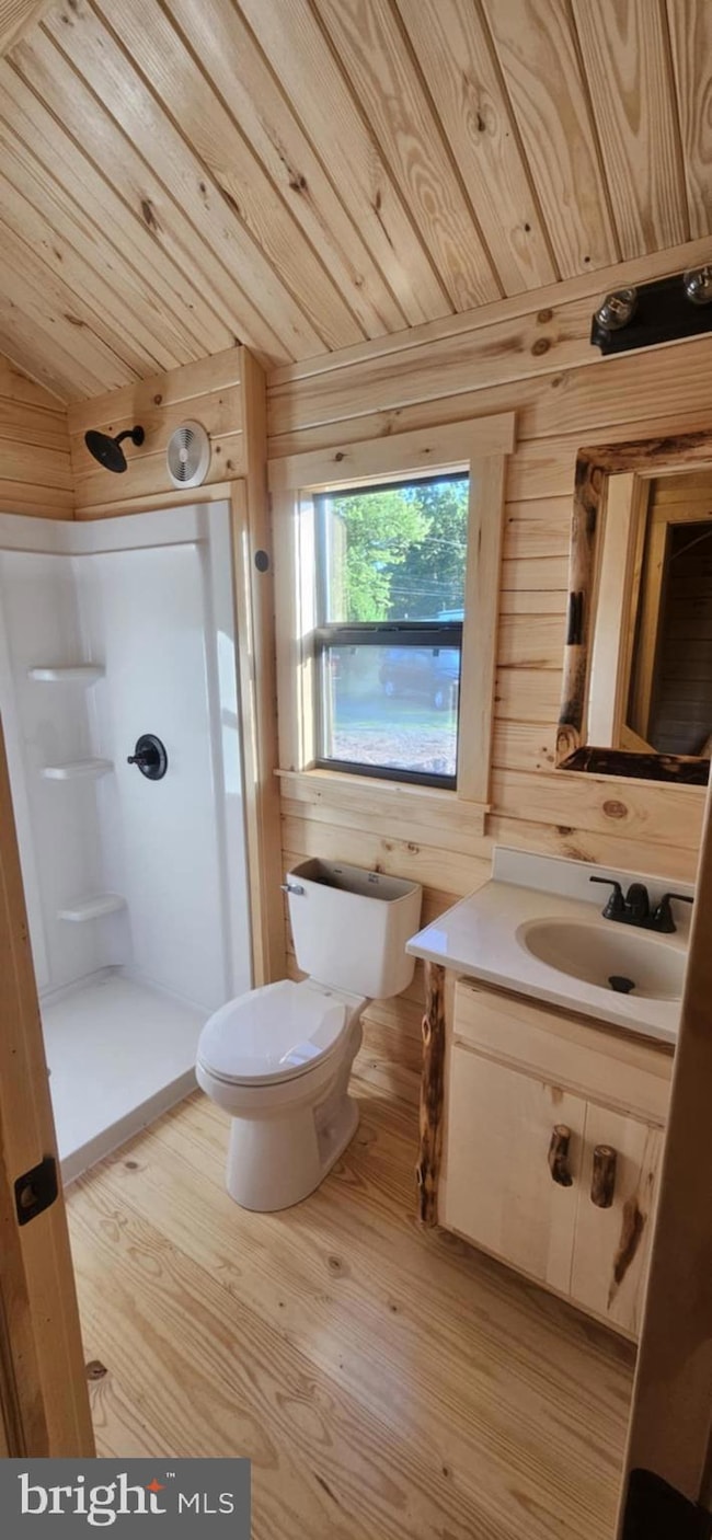 1145 Mountain View School Rd, High View, WV 26808 - photo 5