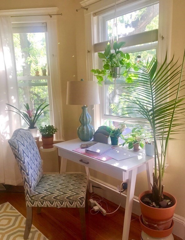 15 Madison St unit 2, Cambridge, MA 02138 - photo 4