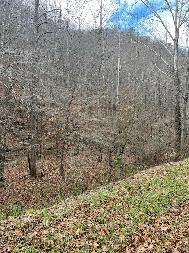 Tract 2 Cow Fork Rd, Beverly, KY 40913 - photo 4