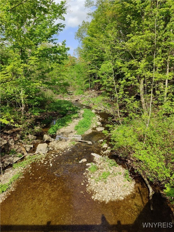 Brook on property