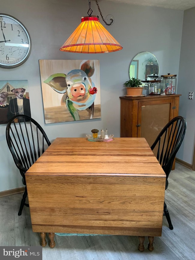 1179 Whiskey Still Rd, Berkeley Springs, WV 25411 - photo 4