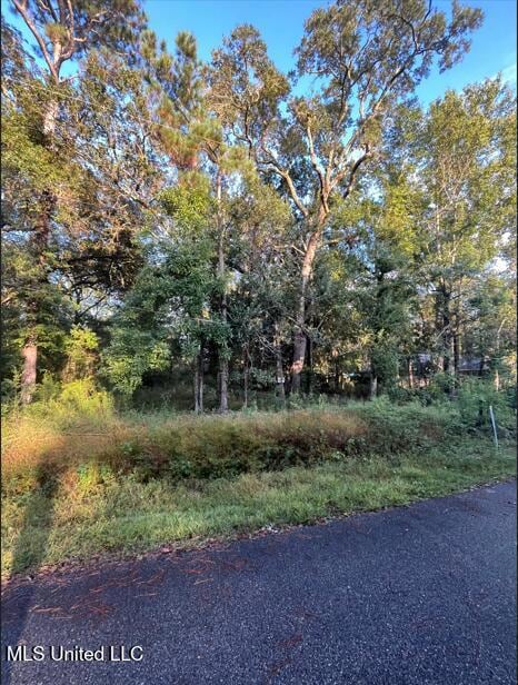 0 Dorothy St unit 4127874, Ocean Springs, MS 39564 - photo 2