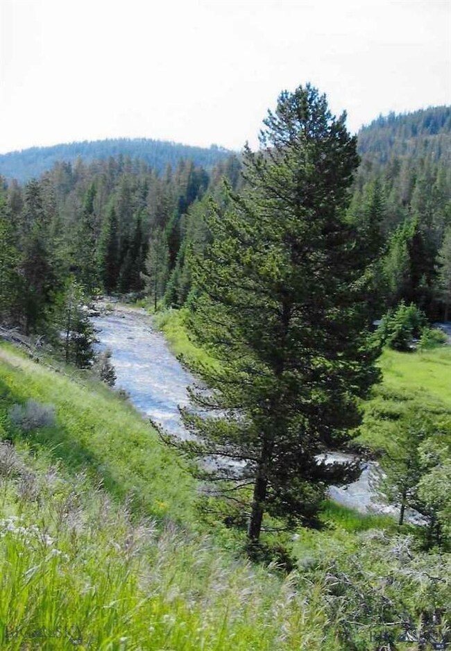 Creek - Open Space From Above