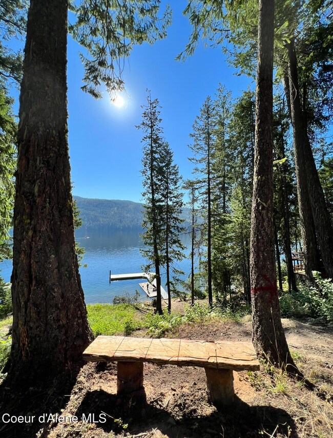 Priest Lake Waterfront!
