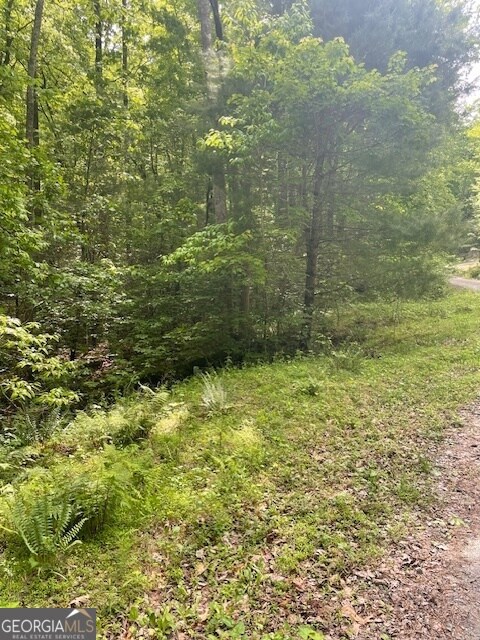 0 Mccormick Dr unit 10509566, Dawsonville, GA 30534 - photo 2