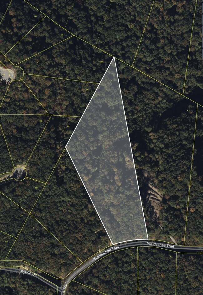 0 Teludachee Trail unit RTC2777078, South Pittsburg, TN 37380 - photo 4
