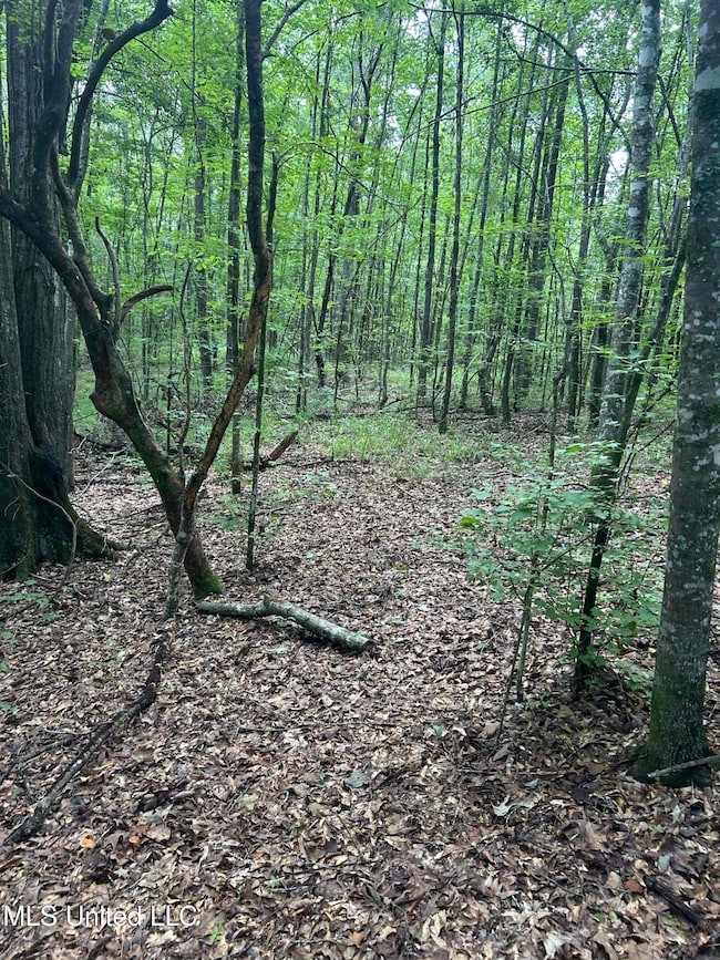 00 Raymond Rd, Hazlehurst, MS 39083 - photo 2