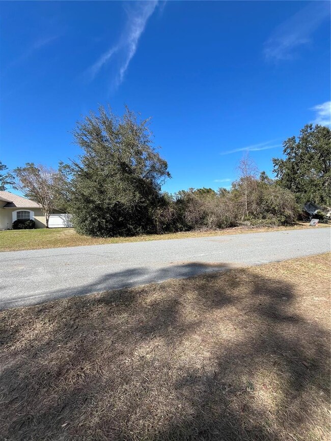 TBA SW 161 Loop, Ocala, FL 34473 - photo 3