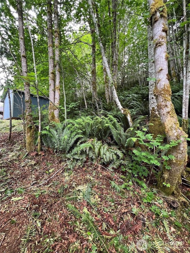 0 Lot 87 W Star Lake Dr, Elma, WA 98541 - photo 6