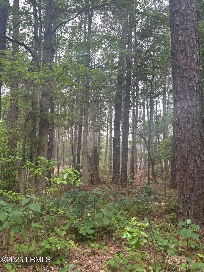 Image from iOS (145)