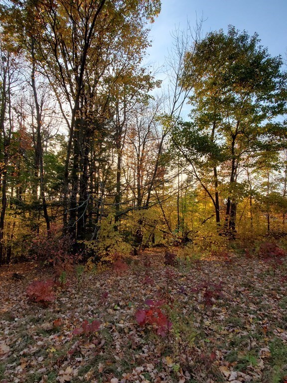 0 E County Rd unit 72845808, Rutland, MA 01543 - photo 7