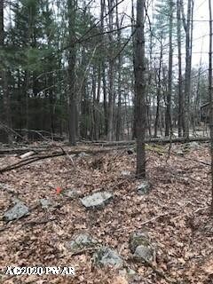 0 738 739 740 Tink Wig Dr, Lackawaxen, PA 18435 - photo 3