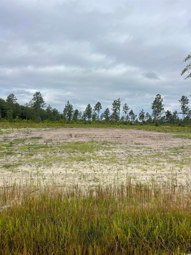 2832 Scarbrough Dr unit LOT 4, Loris, SC 29569 - photo 3