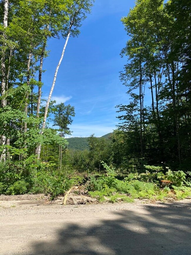 63-11-5 Ossipee Mountain Rd unit 63/11-5, Ossipee, NH 03864 - photo 3