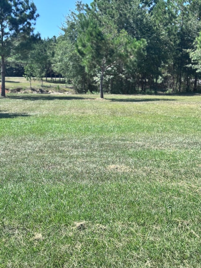 14 Painted Arrow (Lot #41), Lumberton, MS 39455 - photo 4