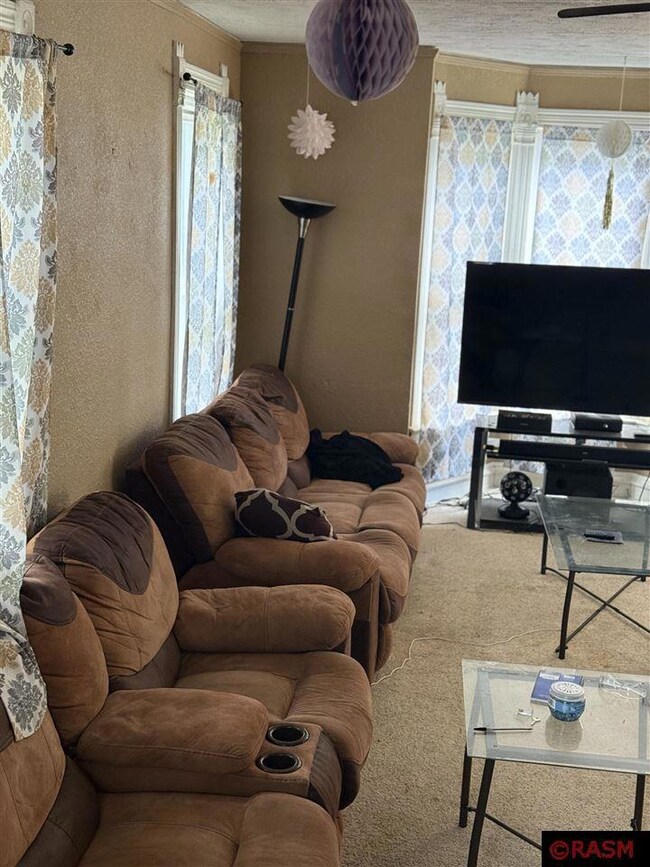 1450 4th Ave, Windom, MN 56101 - photo 7