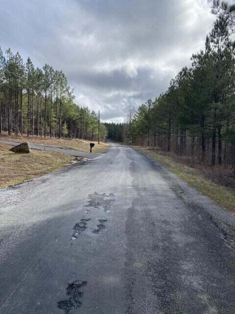 Lot 4 Thomas Springs Rd, Crossville, TN 38572 - photo 5