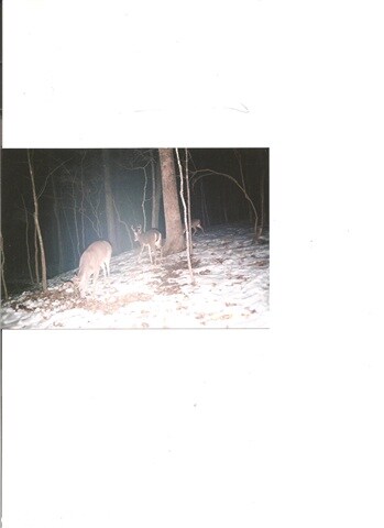 1277 Greene Road 707, Paragould, AR 72450 - photo 2