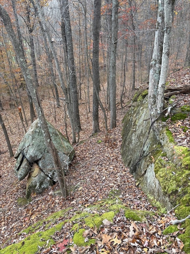 3110 Borland Rd, Jackson Township, OH 45672 - photo 2