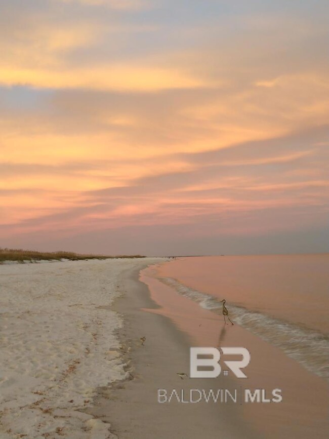 490 Elberta Loop unit 490RV, Lillian, AL 36549 - photo 6