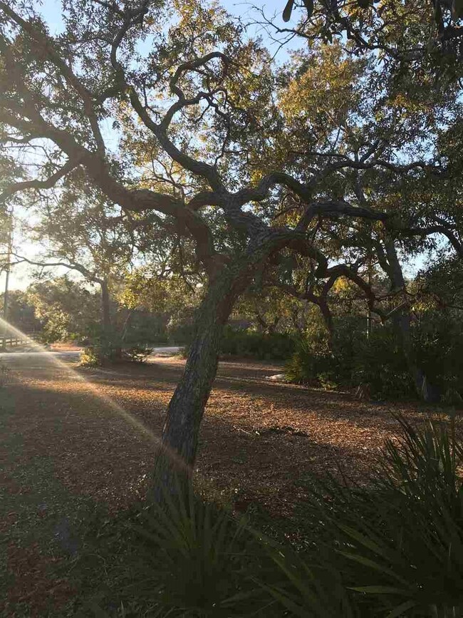 16872 W Royal Oak Dr, Perry, FL 32348 - photo 6