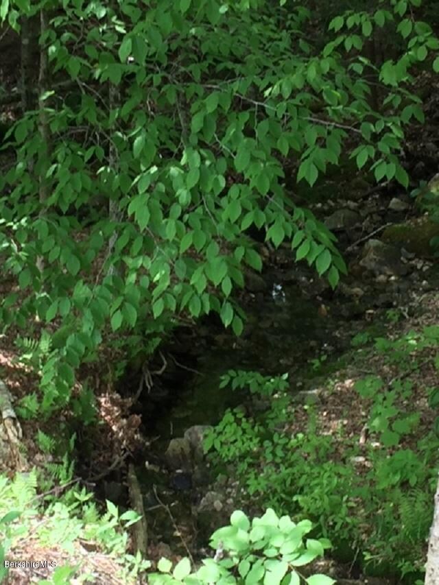 2810 Howe Pond Rd, Readsboro, VT 05350 - photo 6