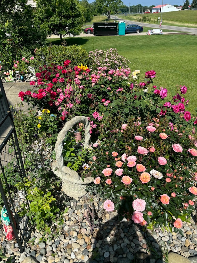 3581 Kehoe Rd, Clinton, MI 49236 - photo 5