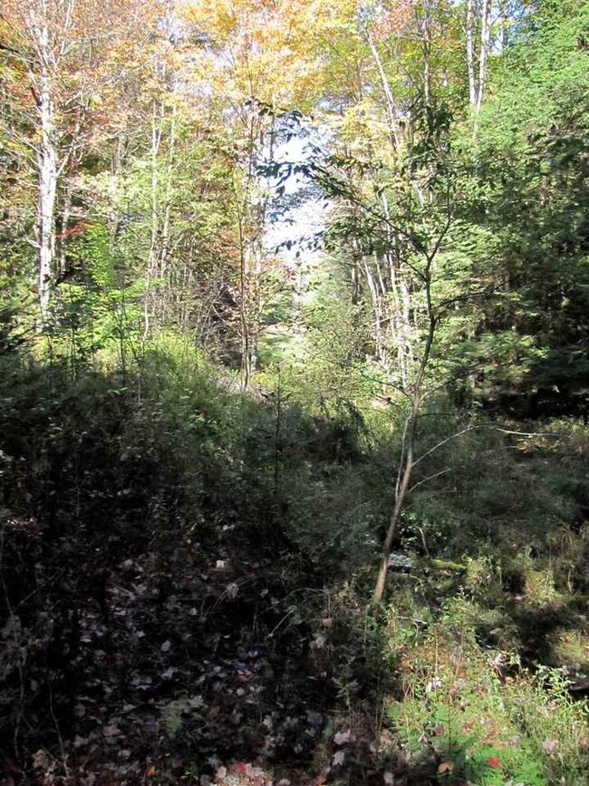 000 Skinny Ridge Rd unit Lot  7, Lyman, NH 03585 - photo 5