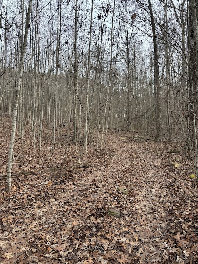 0 Browns Hollow Rd unit RTC3054618, Tracy City, TN 37387 - photo 5