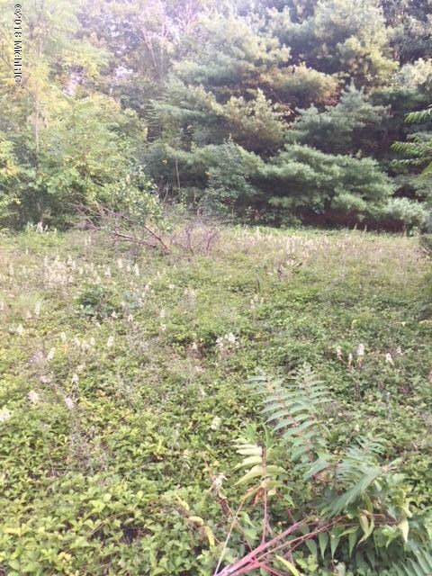 5151 Pine Island Dr NE unit Lot C, Comstock Park, MI 49321 - photo 5