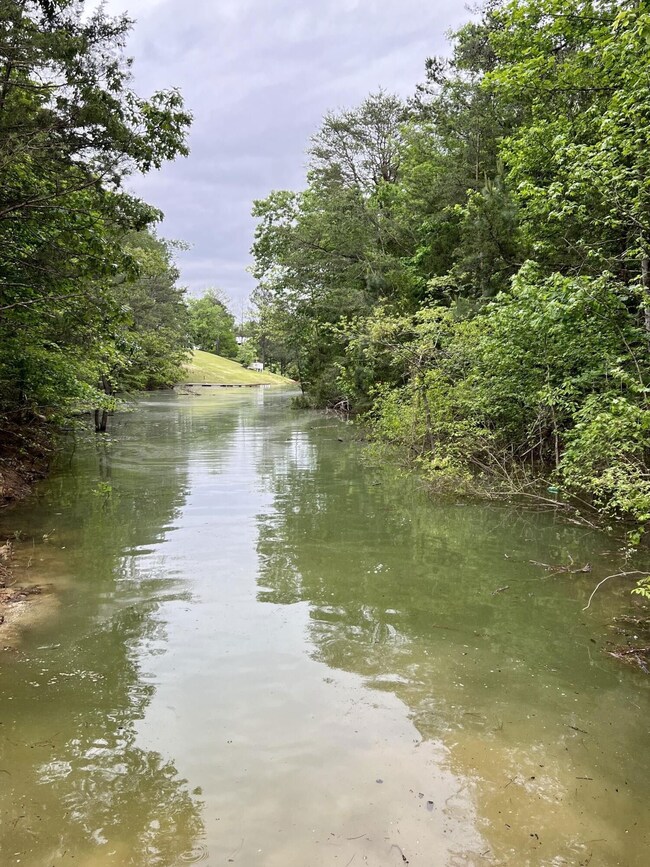 1801 Bootbluff Trail, Dandridge, TN 37725 - photo 7