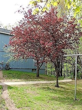 5267 Hwy A, Webster, WI 54893 - photo 4