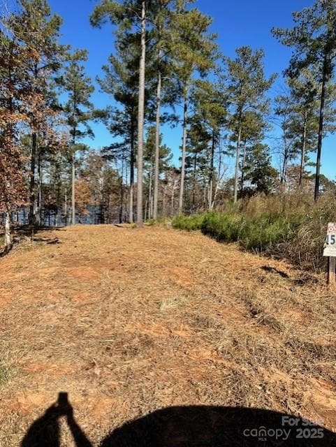 views from the road.