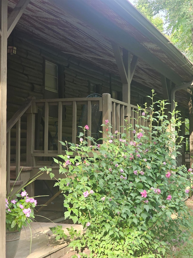 124 Gentle Ln, Mena, AR 71953 - photo 4