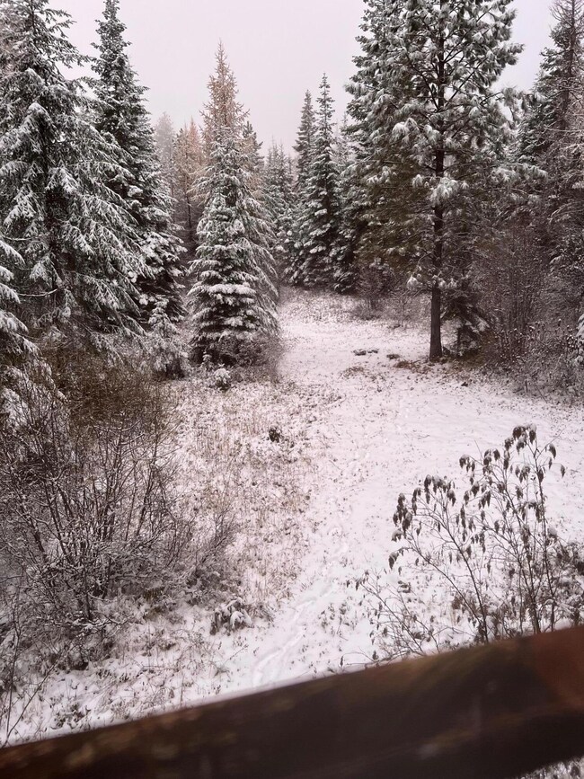 72213159421__2E509F48-2AB6-4D7A-A031-431