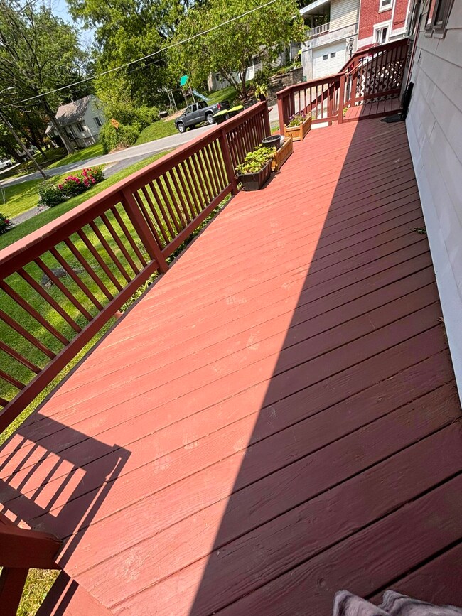 Rear Deck
