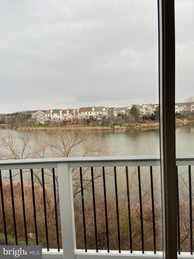20590 Cornstalk Terrace unit 302, Ashburn, VA 20147 - photo 4