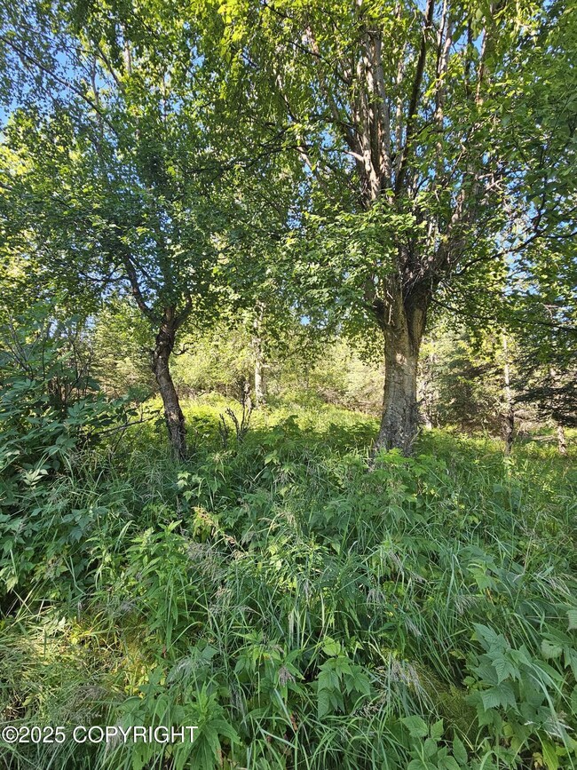 L9 Tolum Rd, Cohoe, AK 99568 - photo 7